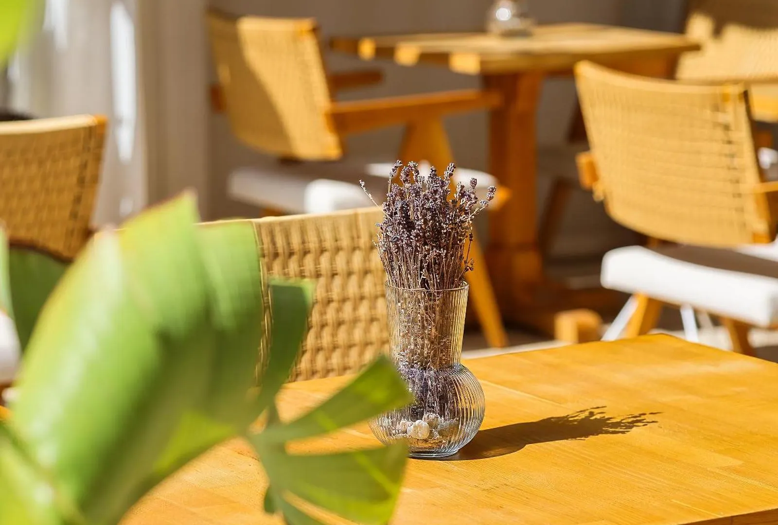 Hotel Voger Alaçatı Köyiçi